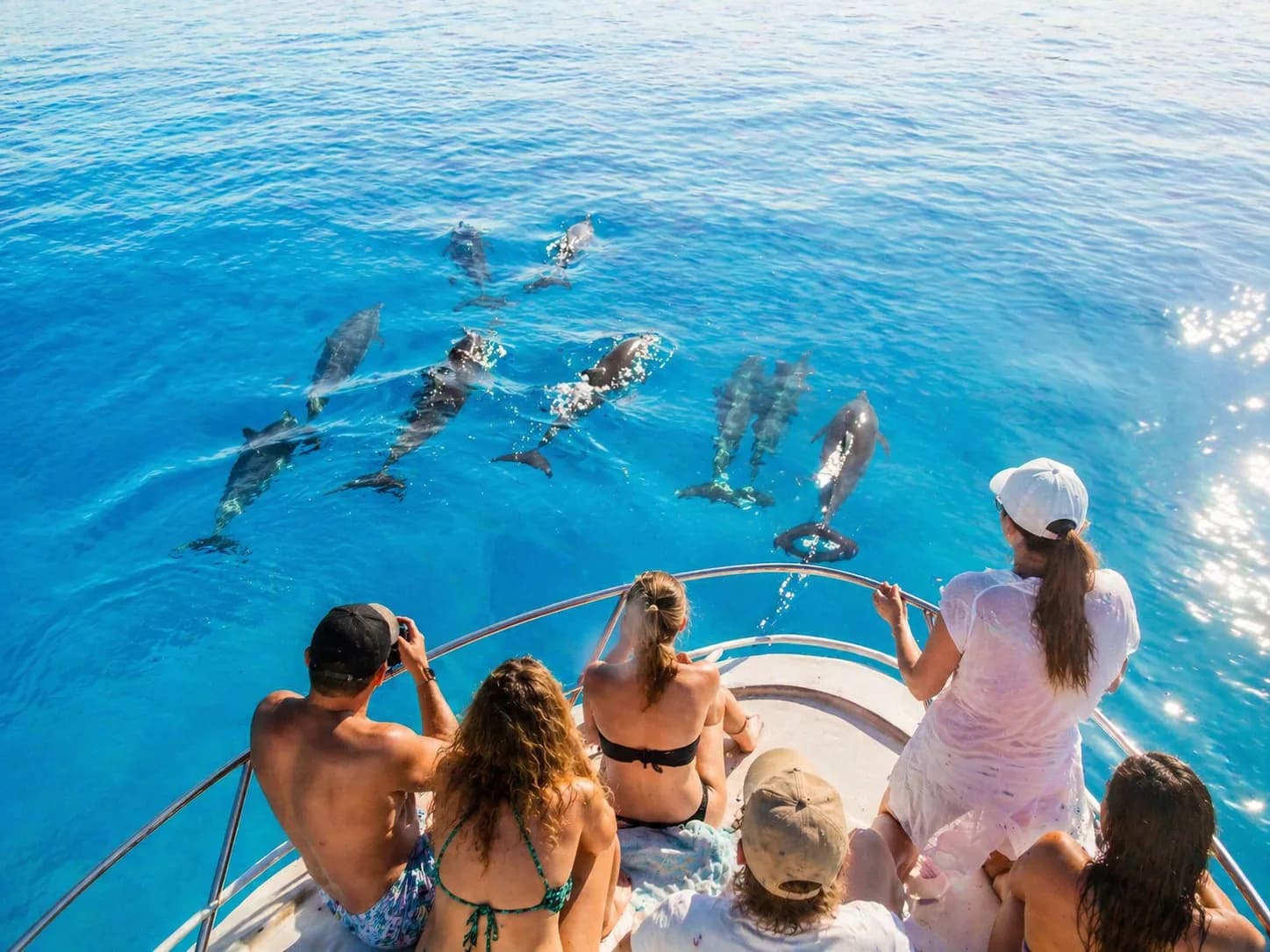 Sataya — With the Spinner Dolphins